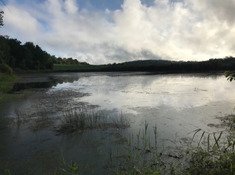072617 - Lake Reflection